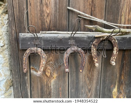 Village house in the countryside with wooden gate with horseshoe that should bring good luck for people. Picture was taken in Masovice village in the Czech Republic close to Tabor. Farming horse.