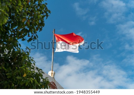 The Indonesian national flag flies behind lush leaves