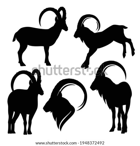alpine ibex black and white vector silhouette set - standing and jumping mountain goats outline collection