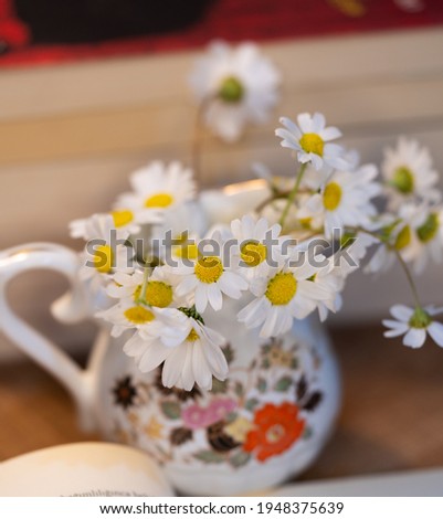 Bouquet daisies in a white vase. Large bouquet of field chamomiles in a vase on a sunset background. Grass flowers, Daisy flowers, Book background
