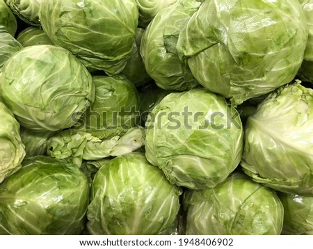 Macro photo green cabbage. Stock photo white cabbage background