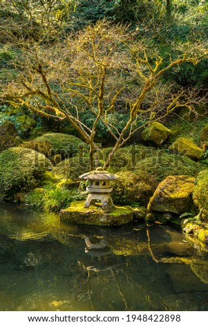Japanese Koi Pond in Colorful Spring Green Moss, Trees, Pagoda and waterfall.