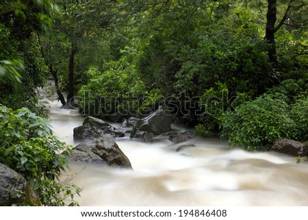 Fast flowing rain water in forest, Tamhini ghat, Maharashtra, India