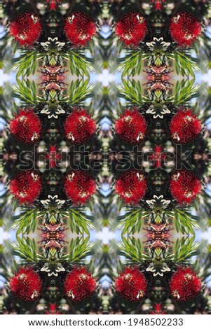 bees on a pohutukawa plant with red flowers 6016