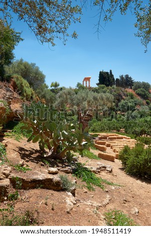 Kolymbethra Gardens, or Jardino della Kolymbethra. magnificent green garden in the heart of the Valley of Temples, Sicily, Italy. Lush vegetation, exotic plants. Classical Greek columns on the hill.