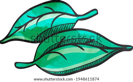 Leaves icon in color drawing. Green environment