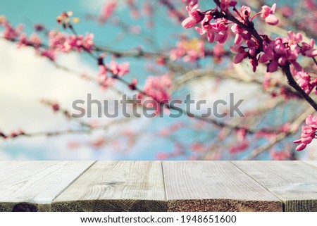wooden table in front of spring blossom tree landscape. Product display and presentation