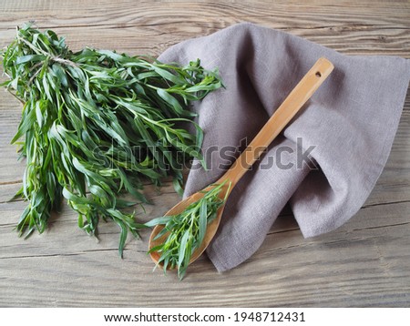 Fresh herb tarragon with a wooden spoon and napkin on a wooden table, flat layout. Aromatic medicinal herb artemisia dracunculus for the preparation of beverages and use in cooking Royalty-Free Stock Photo #1948712431