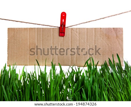 Wide Guide Sign on the String above the Grass on the White Background