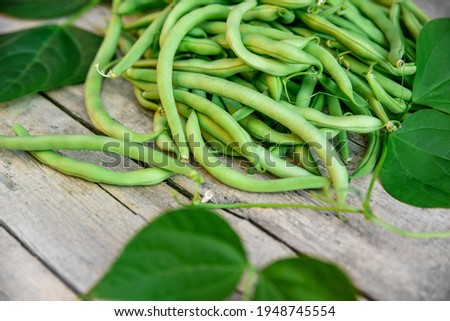Phaseolus vulgaris, fresh raw common beans, green bush beans with leaves on wooden table Royalty-Free Stock Photo #1948745554