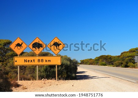 Travelling across the Australian outback Royalty-Free Stock Photo #1948751776