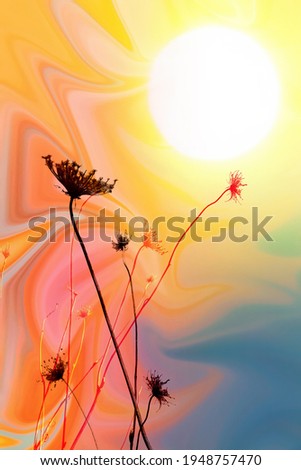 Textured paper colored abstract background. Dry wild herbs and flowers. Sun shining yellow glow.  Nature Art