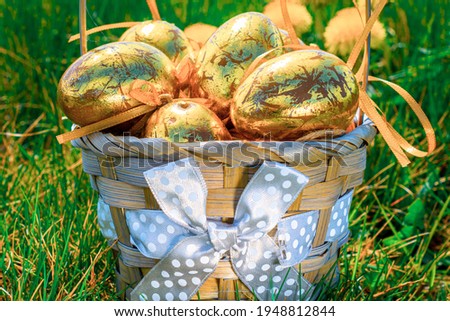Easter basket bunny. Golden egg with yellow spring flowers in celebration basket on green grass background. Festive decoration. Happy Easter
