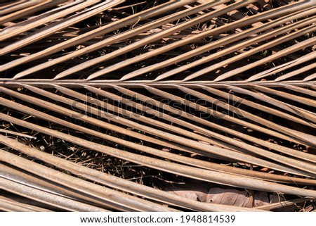 Background picture of dried coconut leaves, brown.