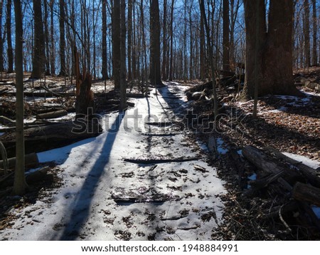 Scenic view of a snow covered trail going through a Maryland Forest on a sunny winter day. Royalty-Free Stock Photo #1948884991