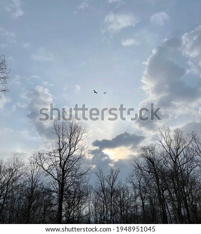 Just a beautiful picture of horizon with blues sky, dark clouds and sun rays from behind the dark clouds, and buzzards circling the sky