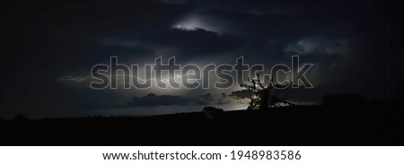 Heat lightning strike with old dead live oak tree silhouette in North Florida