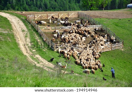 Sheepfold in the mountains Royalty-Free Stock Photo #194914946