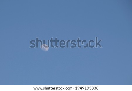 Moon on on a background of blue sky. Moon during daylight. An image of the second-quarter moon.