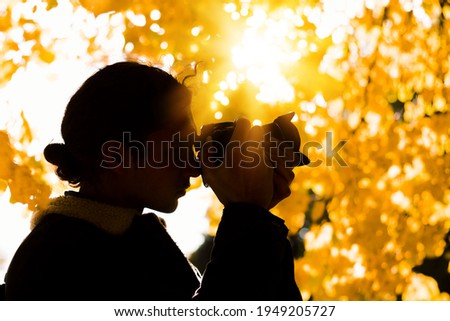 Silhouette of a male photographer under a fall tree with bright yellow leaves. Autumn photoshoot