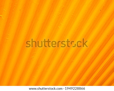 Yellow background image with wavy lines