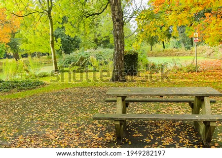 Autumn scene in a park during the daytime 
