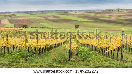 Pictures of Moravian vineyards - beautiful scenery