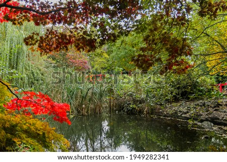 Autumn scene in a park during the daytime 