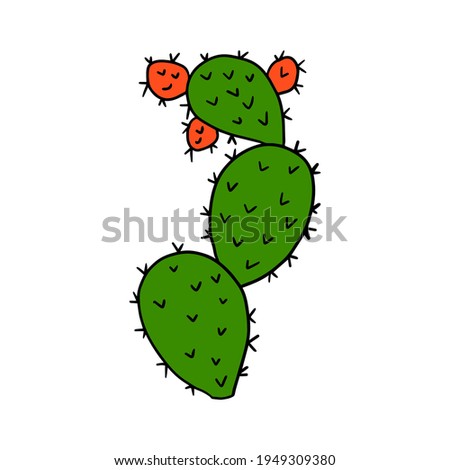 Cartoon doodle cactus isolated on white background. Cute cartoon floral element.
