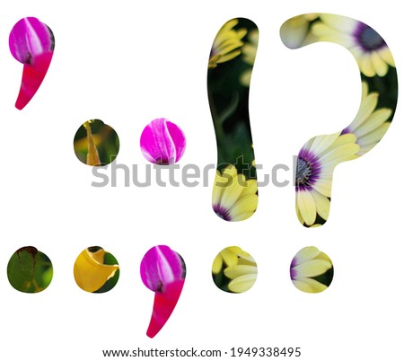 APOSTROPHE PERIOD COMMA COLON SEMICOLON EXCLAMATION QUESTION - punctuation on a white background - part of an according alphabet set cut out from photographs of fresh bouquets and outdoor flowers