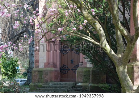 The door of the old cathedral in the shade of magnolia and birch.  Medieval church and its gate in the spring sun.  Wooden entrance door to the castle