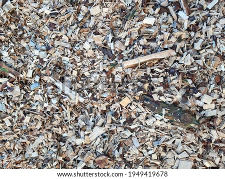 Wood chips for biofuels energy