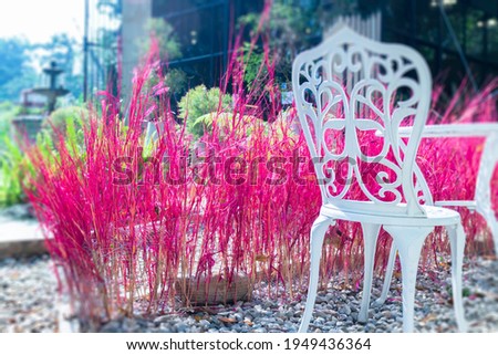Pink summer garden of resort exterior, stock photo