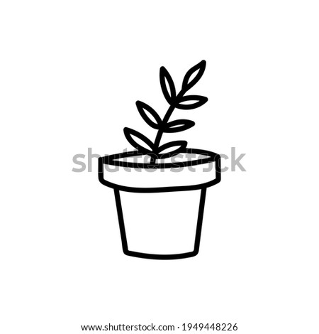Flower in pot painted black line on a white background. Vector drawing illustration