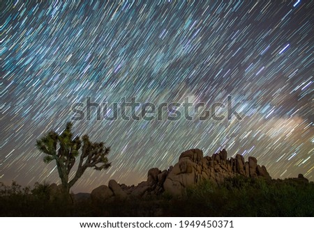 Nighttime photo of Joshua Tree and rock formation with Star trails and Milky Way in Joshua Tree National Park