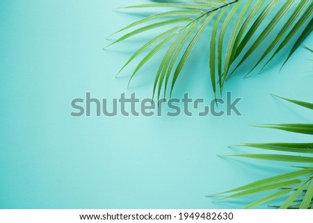 close up top view on coconut tropical leaves on teal and cyan color background with copy space for ads banner design in summer season concept
