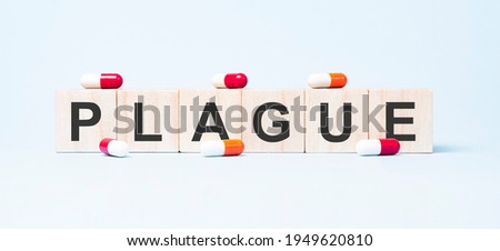PLAGUE word made on wooden cube blocks and flower in a pot on background. Health and medicine concept. Healthcare concept.