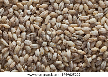 Picture of background of dry barley groats, nobody