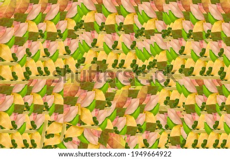 Beautiful Leaves pattern background picture