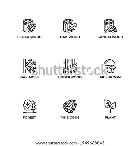 Vector set of design elements, logo design template, icons and badges for forest. Line icon set, editable stroke. Royalty-Free Stock Photo #1949668843