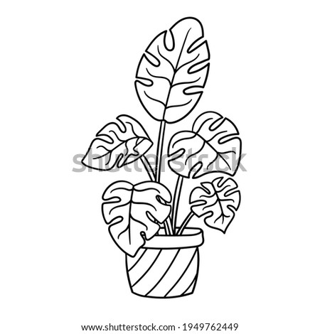 Potted houseplant, coloring page for kids and adults. Vector illustration