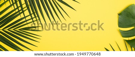 Top view of tropical palm leaves branch isolated on bright yellow background with copy space.