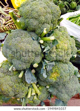 tasty and healthy broccoli stock on shop