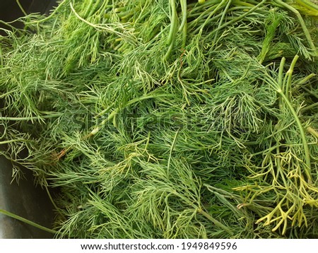 Image of a heap of harvested dill weed on a dark surface - Dill weed plucked and chopped, green vegetable waste, dill weed background.