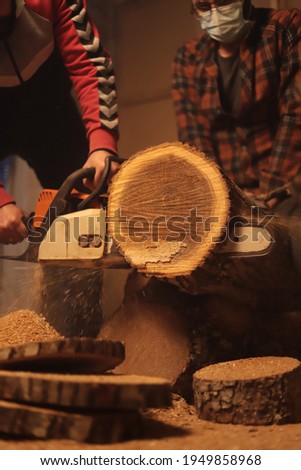 cutting moment of tree stump