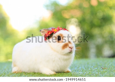 Adult rabbit sits on green graas in nature bokeh as background. Lovely mature bunny wears flower wreath on its head. Cute pet photo.