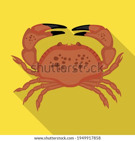 Sea crab vector icon.Flat vector icon isolated on white background sea crab .