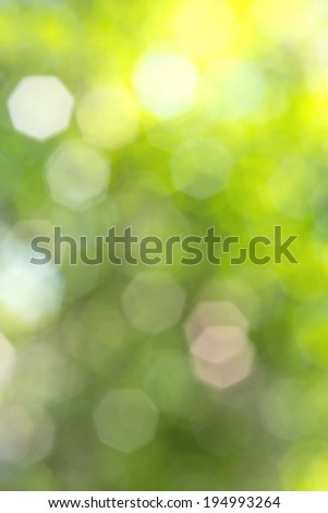 bokeh of  nature background