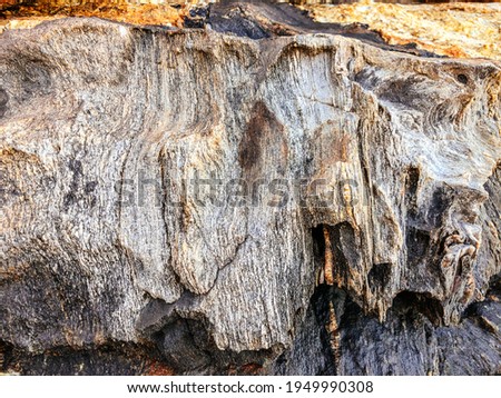 Macrophotography of a rock interior