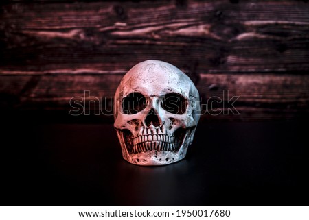 Skull on a background of textured wood on a black background.